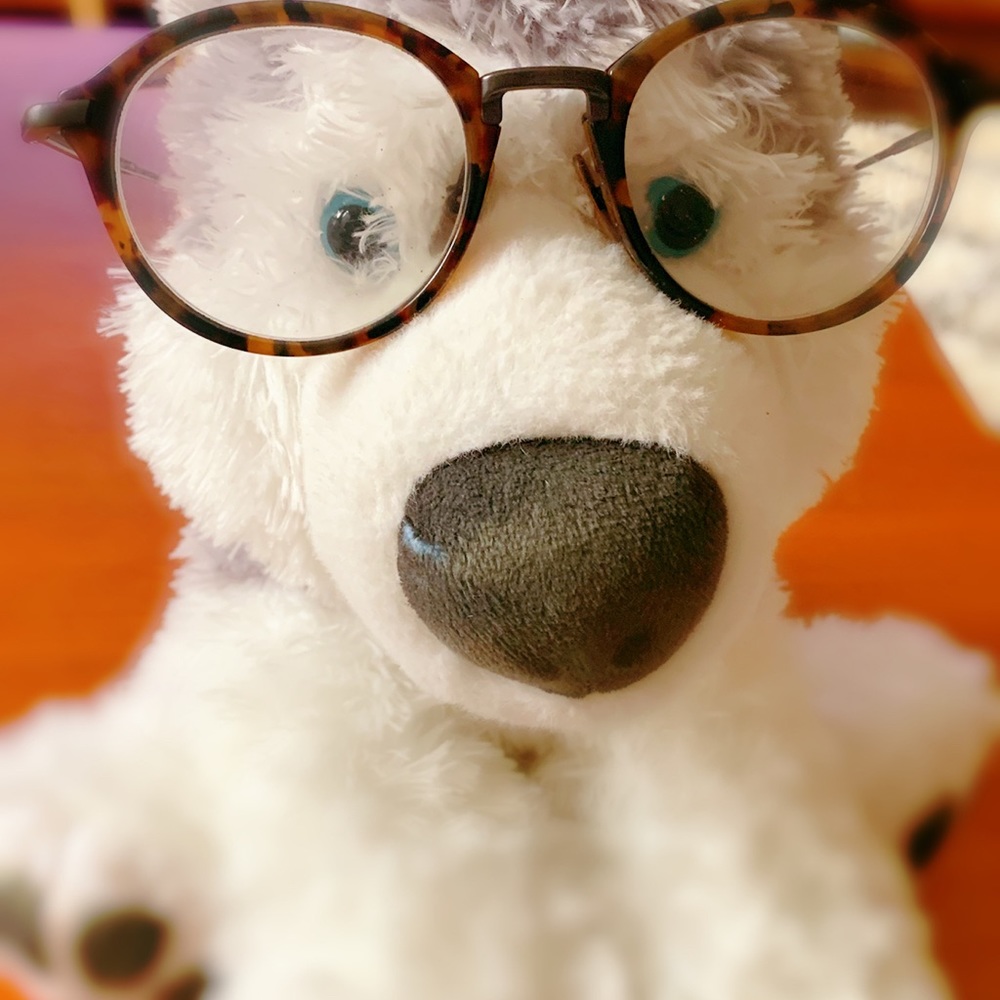 Meet your Posher, Stella